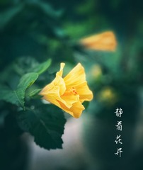 D1EA63F3-99B4-4BBB-BD41-5D6EB294E764/L0/001