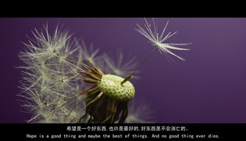 P1110607改.jpg