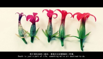 P1090928改.jpg