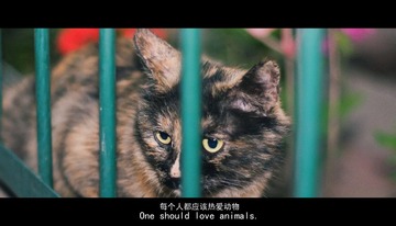 P1120006改.jpg