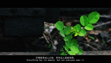 P1090761改.jpg