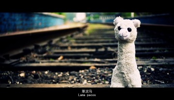 P1090664改.jpg