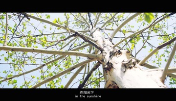 P1090043改.jpg