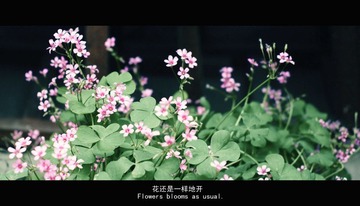 P1110195改.jpg