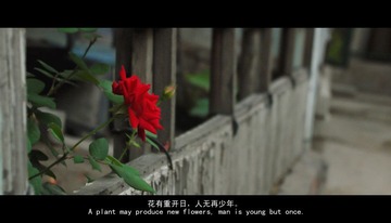 P1110954改.jpg
