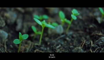 P1110960改.jpg