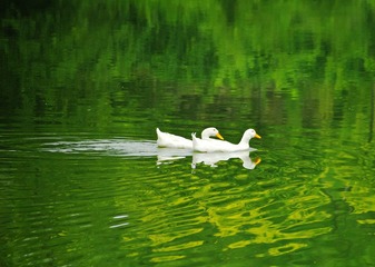 DSC_1402.jpg