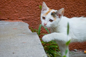20120723-DSC_2570.jpg