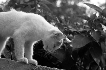 20120723-DSC_2699.jpg