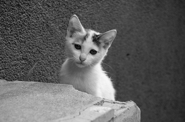 20120723-DSC_2701.jpg