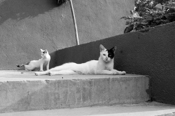 20120723-DSC_2788.jpg