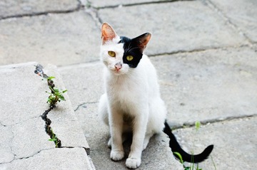 20120723-DSC_2677.jpg