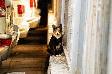 20120802-DSC_3233.jpg