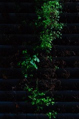 2B549E7E-CE18-42BD-8103-204F2F94BB58/L0/001