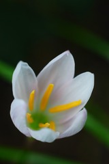 6BCB234C-CA94-469F-931A-A98DA1F356EF/L0/001