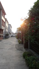 SAM_1408.JPG