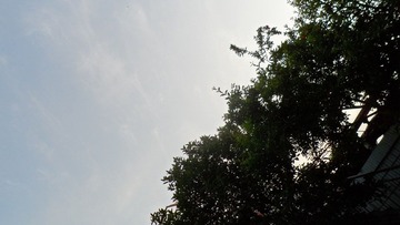 SAM_1425.JPG