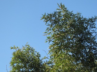 87CD4FC4-4064-4A15-8EA7-637AF8D357D8/L0/001