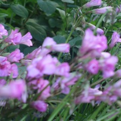 E0CDED1D-8397-482A-87AA-A26E8C6F689B/L0/001