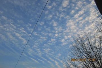 E71F9024-9376-4C08-BE78-A8AC2E0C1242/L0/001