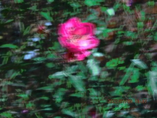 BB17D956-4954-4DFB-91C0-B174A6BBDC24/L0/001