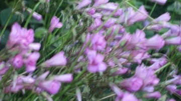 60631B9F-5E98-41C5-8EC7-2BCF478C2471/L0/001