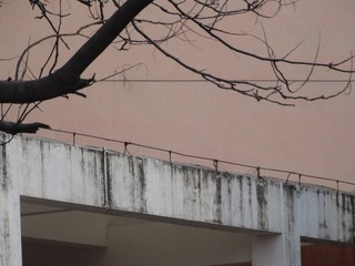 0C94D54F-766C-4590-8B8D-BCD659D0407A/L0/001