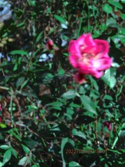 9E24620D-4B69-43CF-A72B-530FC6B3964D/L0/001