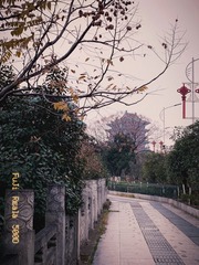 FE8D7A68-337C-431F-A425-1EC16CFE6D46/L0/001