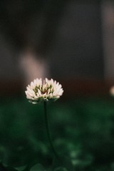 842524