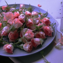 6D9ABAB1-61D5-41E8-A258-F1B93FD3D0BC/L0/001