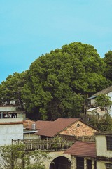 E43FE475-7EF5-4450-9B1E-3E818DE10C47/L0/001