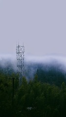 C20F0EA0-1222-4695-B8A5-4D2663DA83FE/L0/001