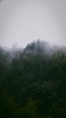 25509660-C7E8-453B-AA11-3FA0942DE09F/L0/001