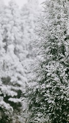 630D7102-4E0B-48A7-8245-7901C482EA4F/L0/001