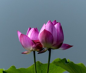 841744
