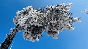 C533023F-0671-4010-B4B1-0E763B2F4F52/L0/001