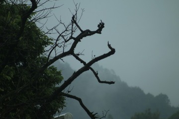 D54D44C3-788C-4856-800F-9854E8759C79/L0/001