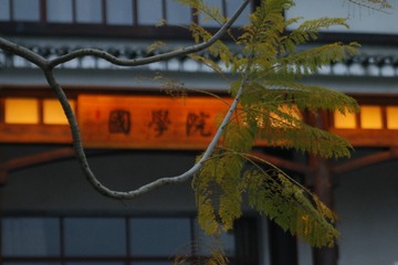 4B8FAA98-7969-49EB-9FBB-3AC20E801289/L0/001