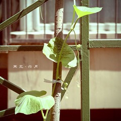 _DSC011111111111110