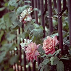 _DSC007311111111111