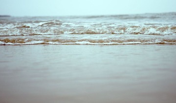 _DSC0019