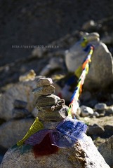 _DSC0242