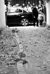 _DSC0138