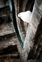 _DSC0492