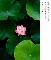 _DSC0160