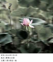 _DSC005111111115