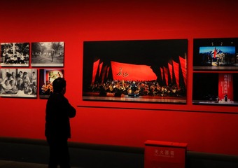 _DSC0247
