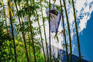 DSC_9726 拷贝