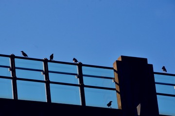 DSC_6829_